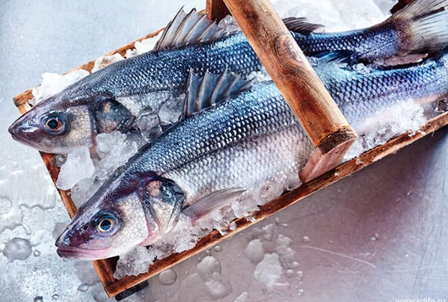 Заморозка: основные правила хранения рыбы