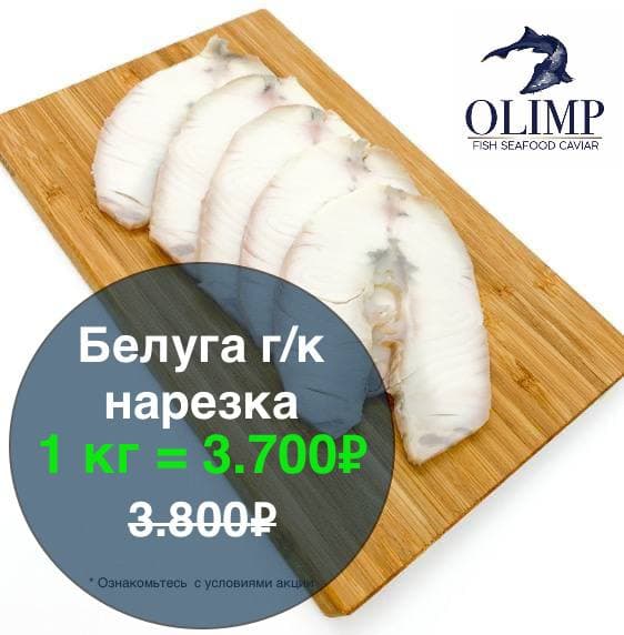 Белуга – ценная рыба семейства осетровых. В отличие от осетра, у неё менее жирное белое мясо.