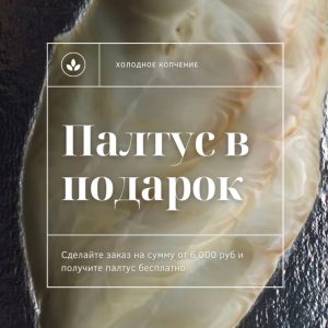 Новая акция уже в самом разгаре!